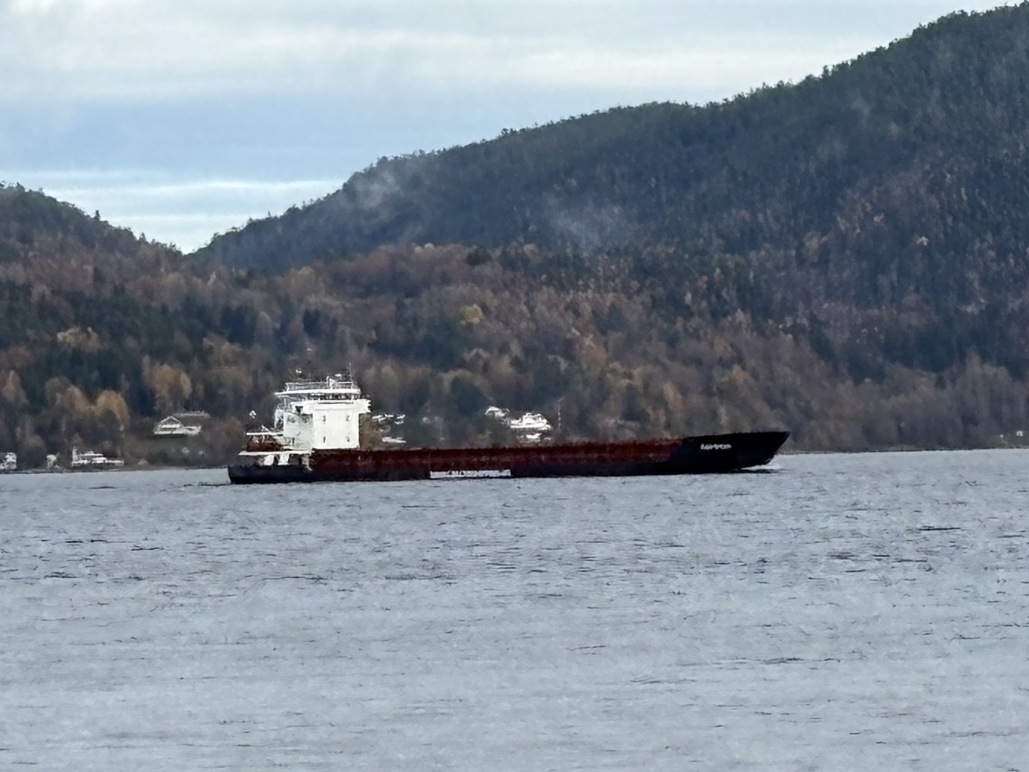 Where is RIX STAR right now? Cargo ship | IMO 9006277 | MMSI 209239000 ...